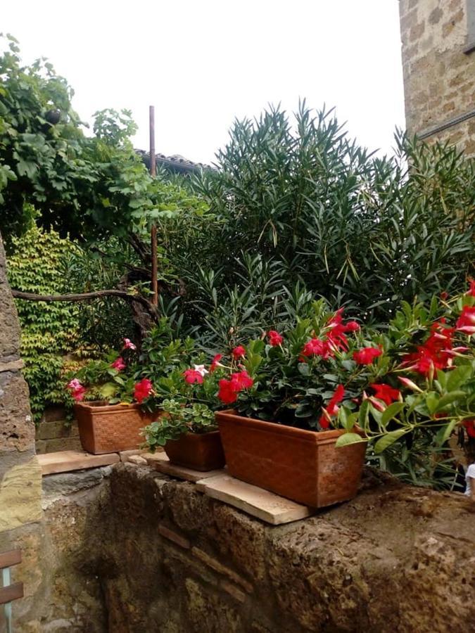 Ferienwohnung Il Vento E La Ginestra Bagnoregio Exterior foto